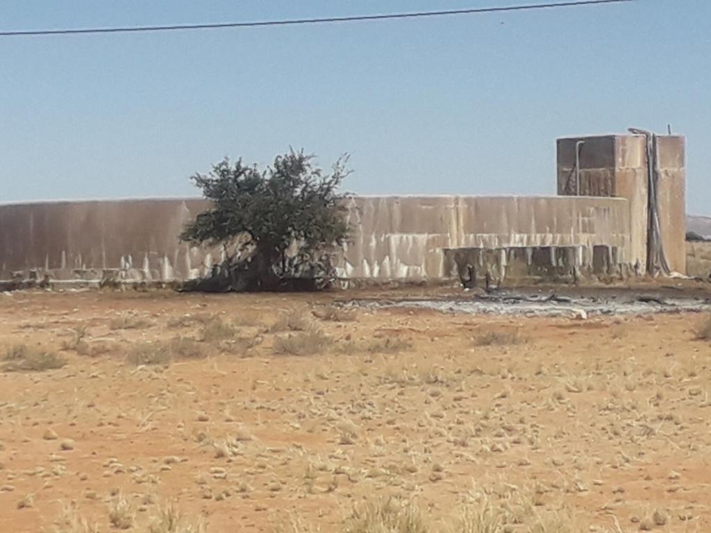 Vastrap Guest Farm photo 3