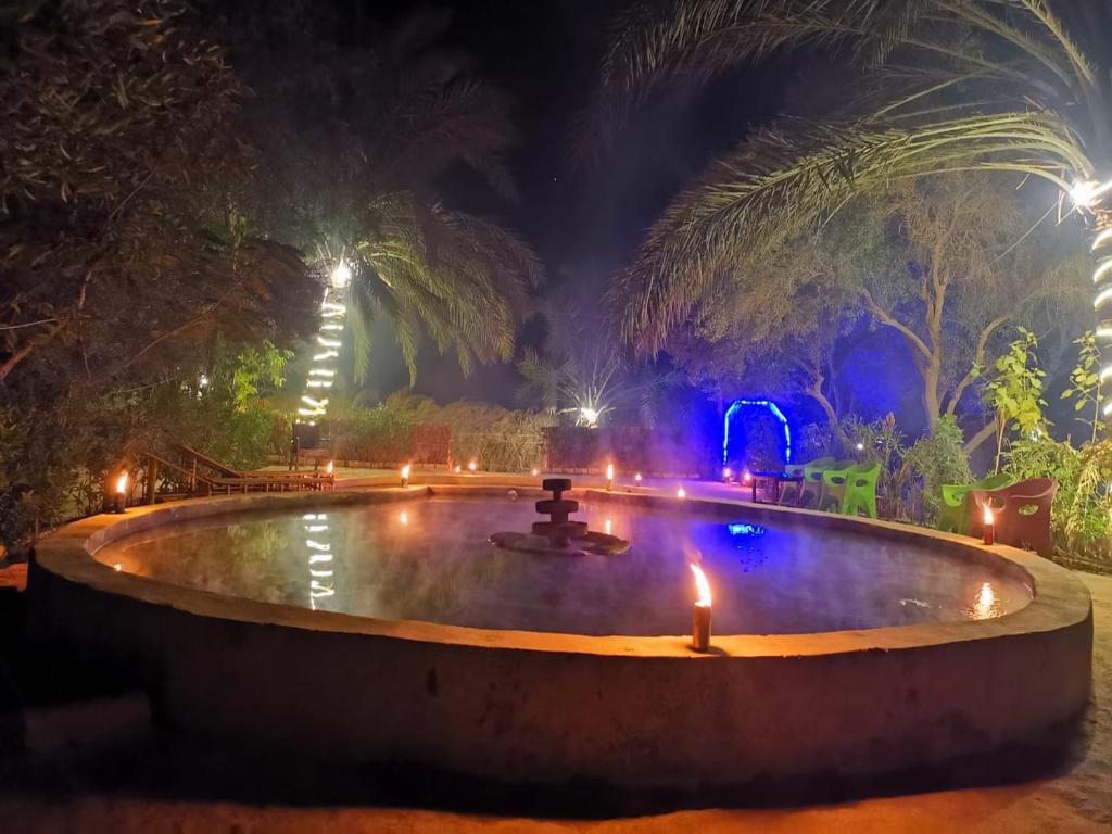 Desert Escape siwa -with palm & olive Garden - Hot Spring photo 2