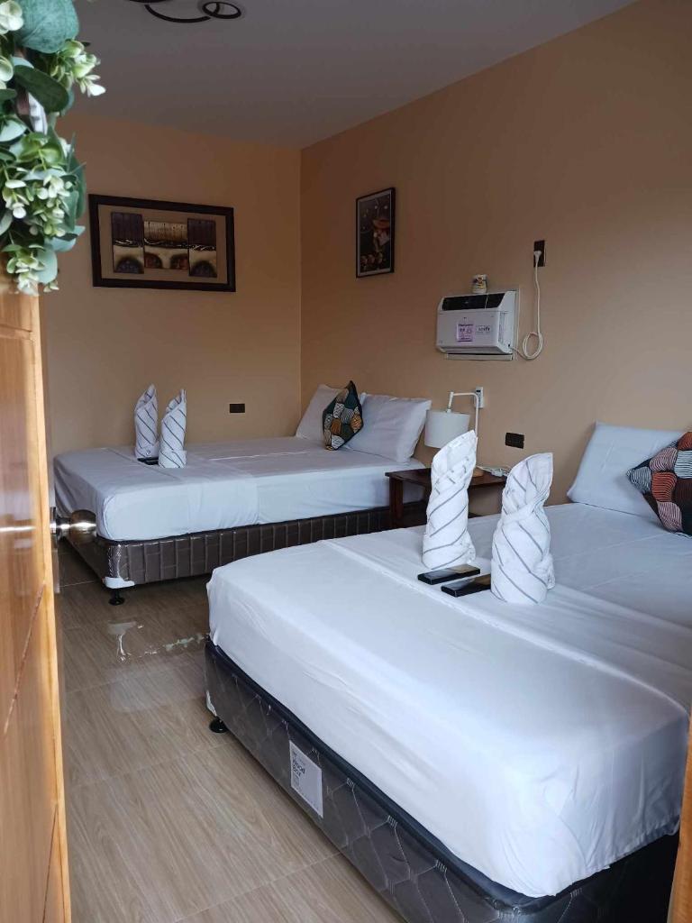 INDINO GUEST HOUSE 2 photo 3