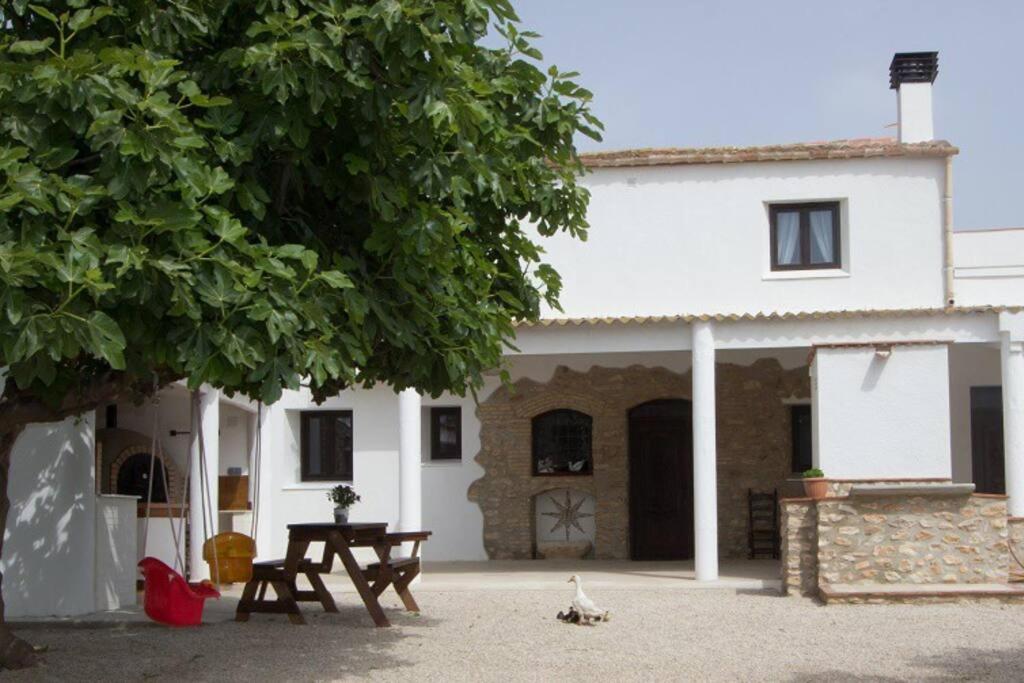 La iaia Merce photo 4