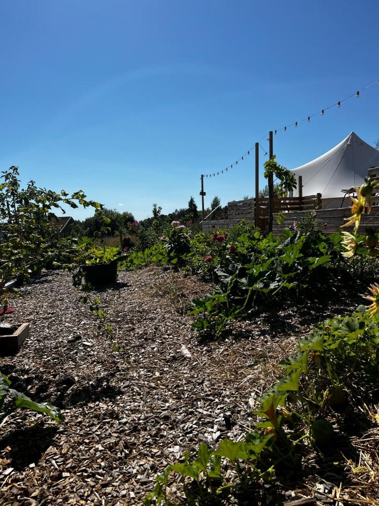 Vättervy Glamping photo 2