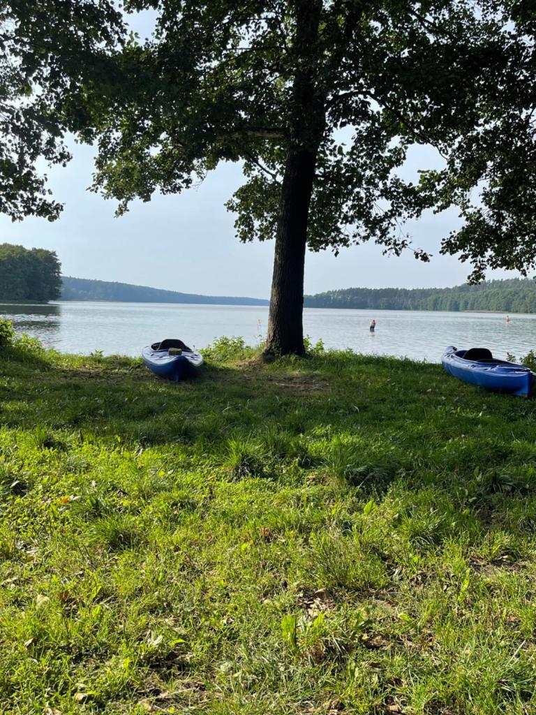 Borowy Glamp więcej niż domki photo 1