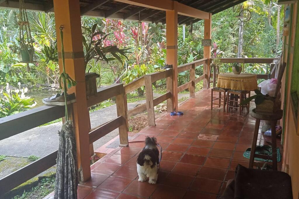 Casa Aconchegante em Morretes no meio da Natureza! photo 1