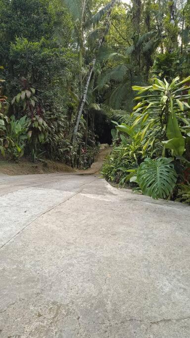 Casa Aconchegante em Morretes no meio da Natureza! photo 2