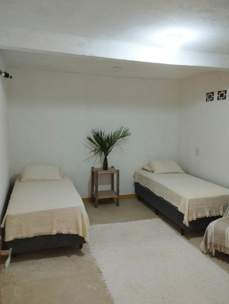 Quarto Ravenalla photo 3