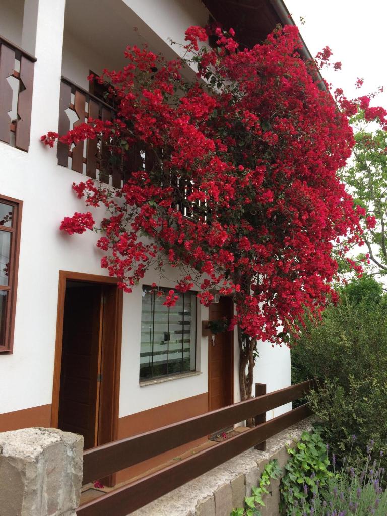 Karin’s Haus photo 1