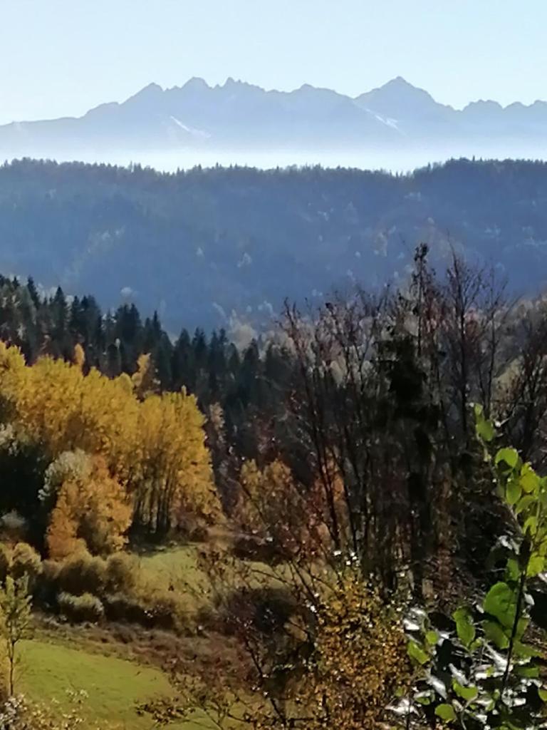 Domek na Karolce photo 1