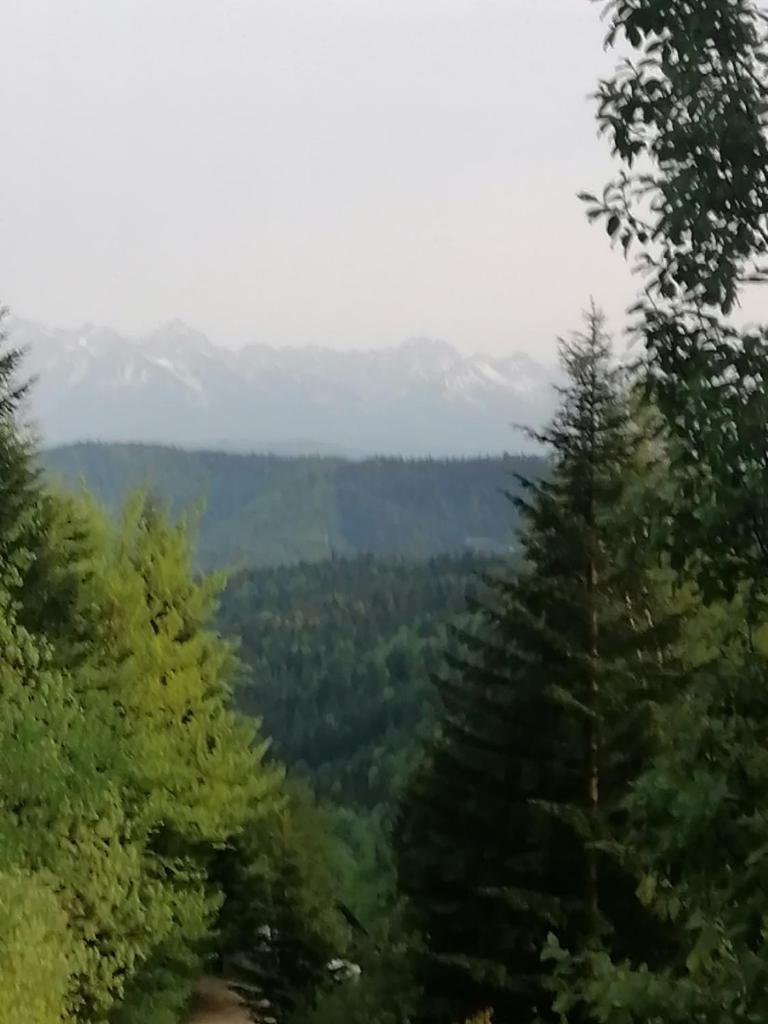 Domek na Karolce photo 2