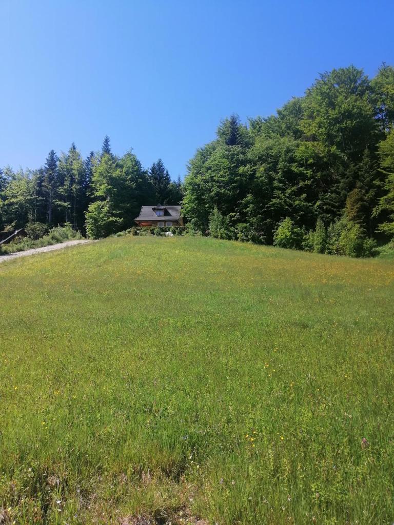 Domek na Karolce photo 4