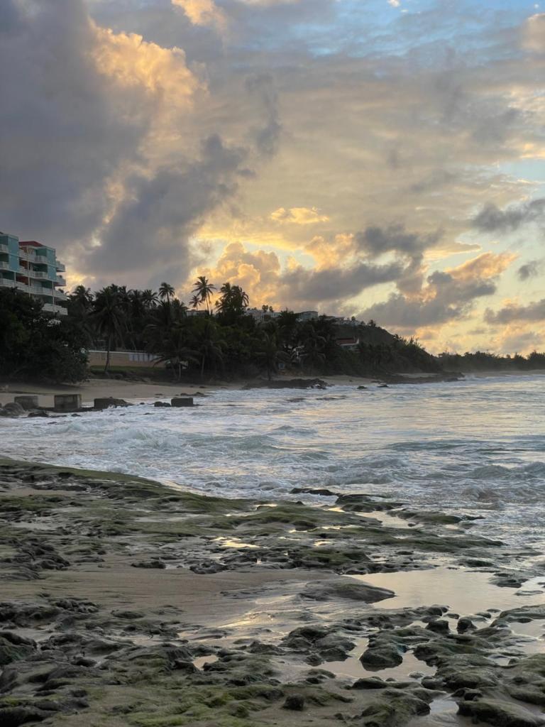 Beach Front Studio Apartment photo 2