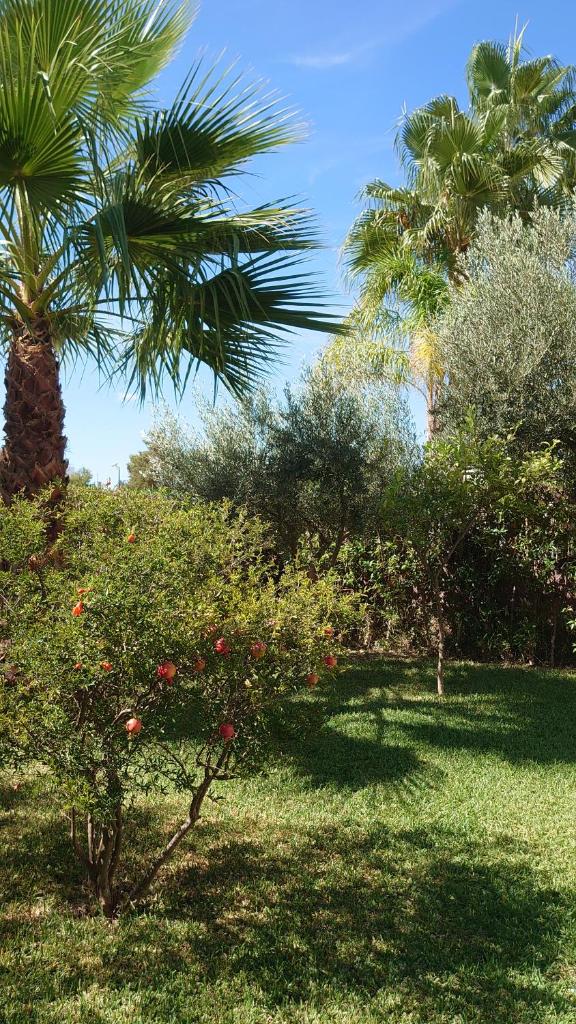 Villas Alandalus photo 4