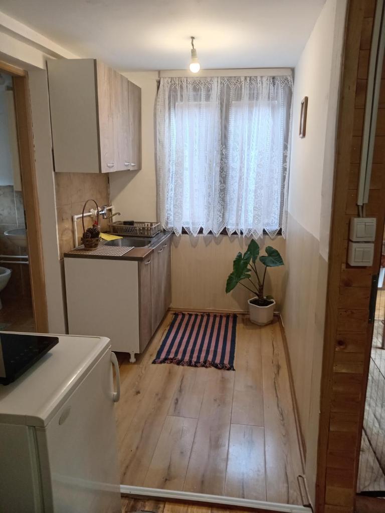 Apartmani Radivojevic photo 1