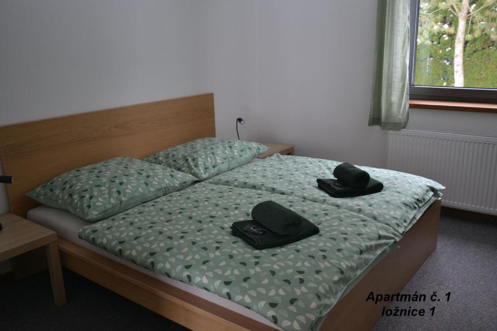 Apartmány Benátky photo 1
