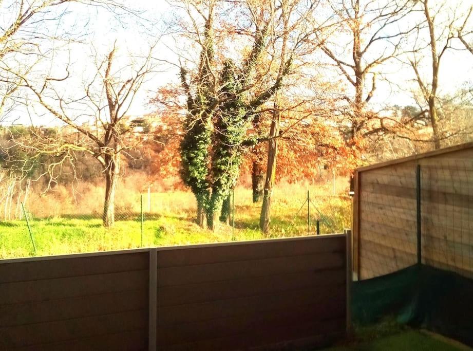 Appartement calme rez-de-jardin photo 2