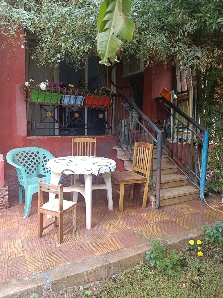 Cozy apartment with a private garden in Giza photo 4