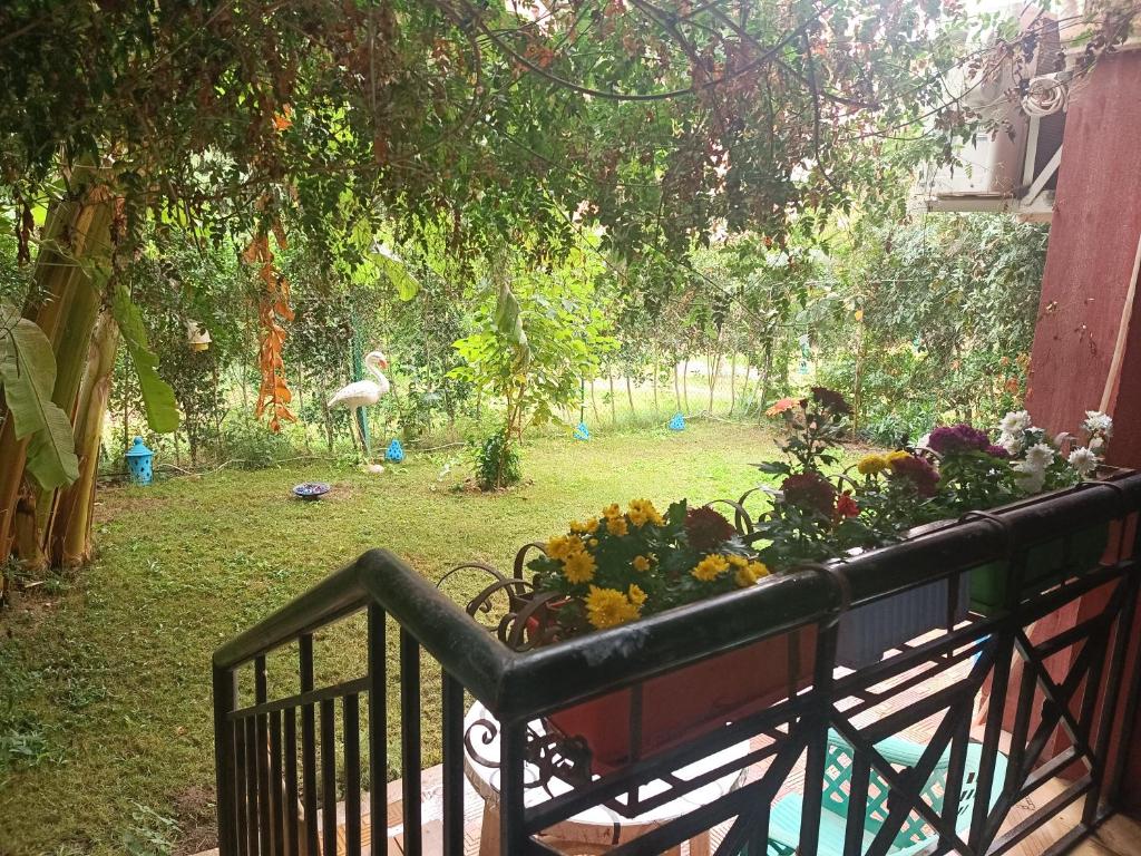 Cozy apartment with a private garden in Giza photo 3