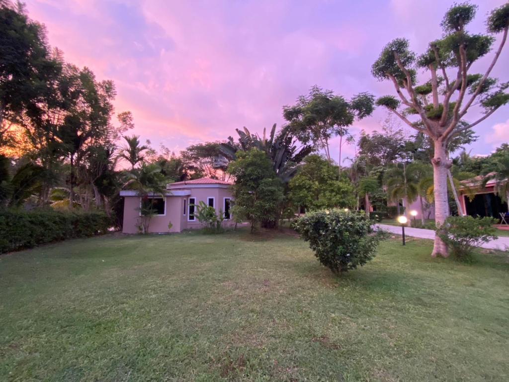 Green Tree Cottage photo 2