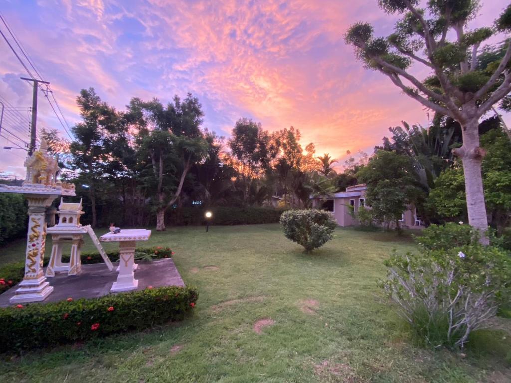 Green Tree Cottage photo 1