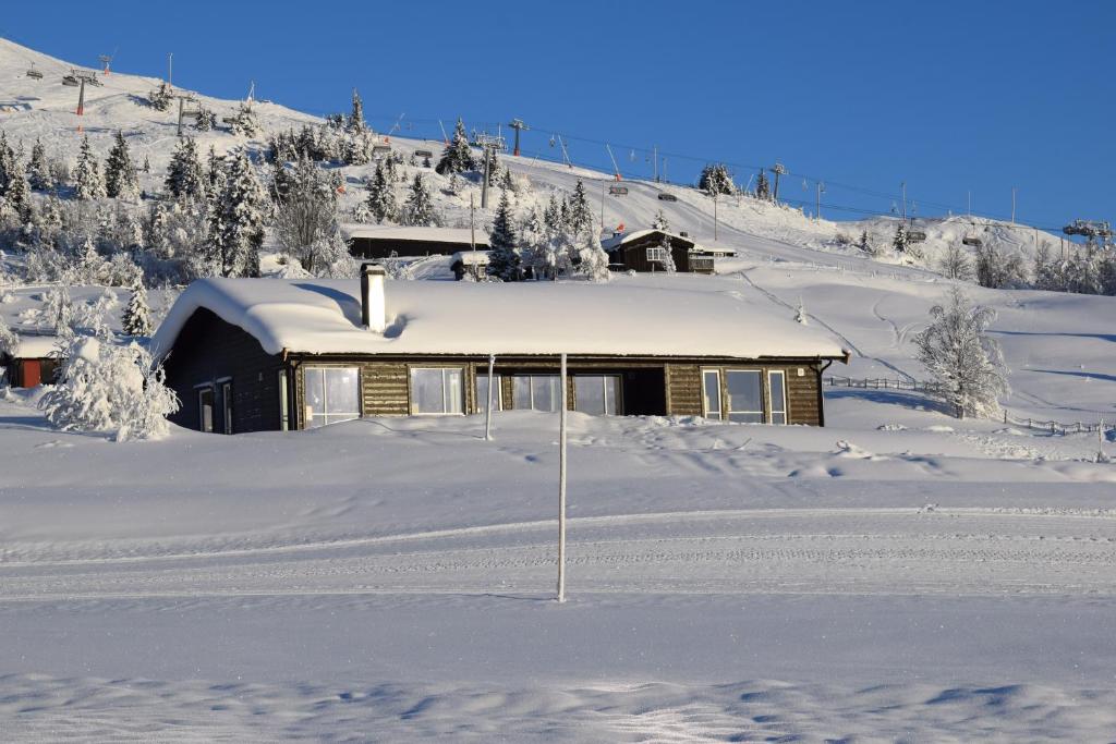 Skeikampen Booking photo 1