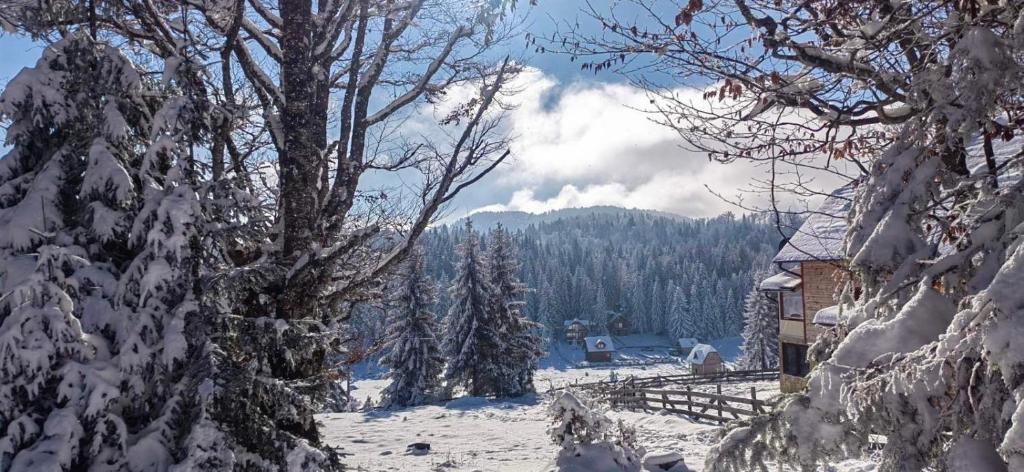 Koliba Vuk photo 1