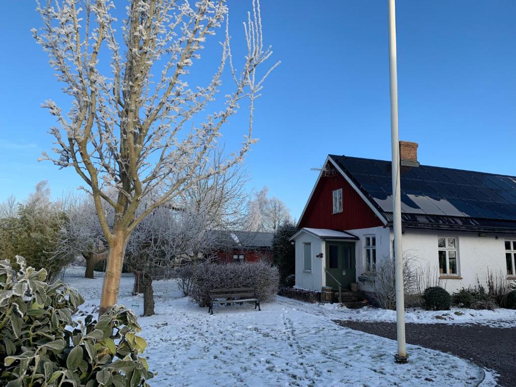 Villa Maria Garden Cottages, Helsingborg photo 3