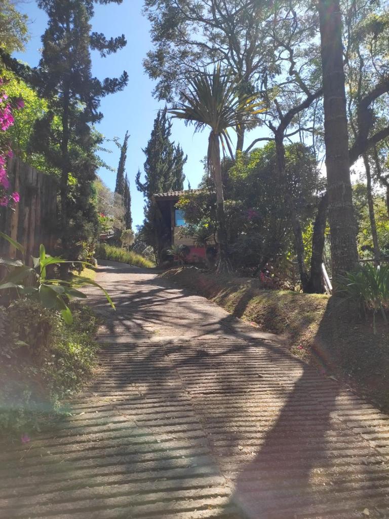 Pássaro de Fogo photo 4