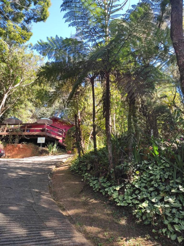 Pássaro de Fogo photo 2