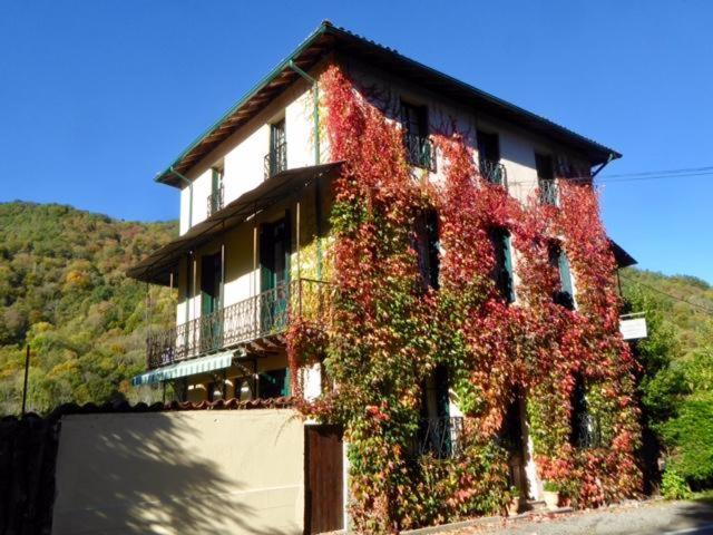 Le Grand Chalet photo 1