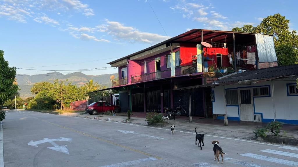 Apartaestudio en Monterrey photo 3