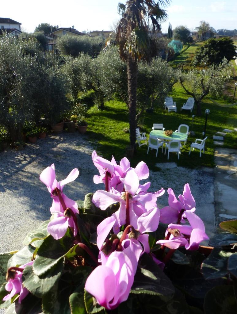 La casa di Silvia photo 3