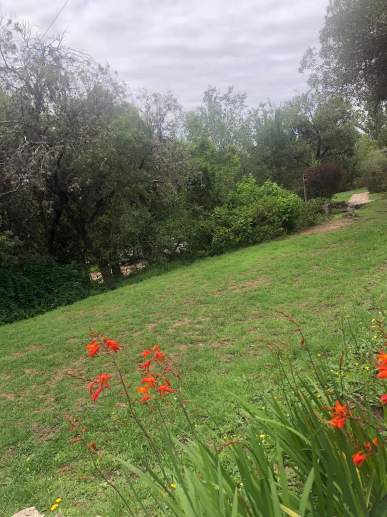 Casita Curanto photo 4
