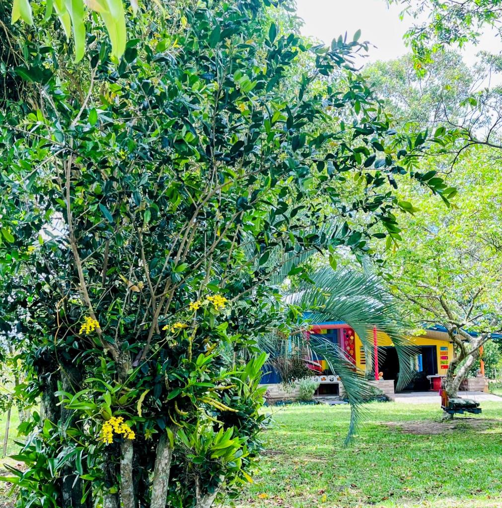 Chácara Lagoa do Palmital photo 3