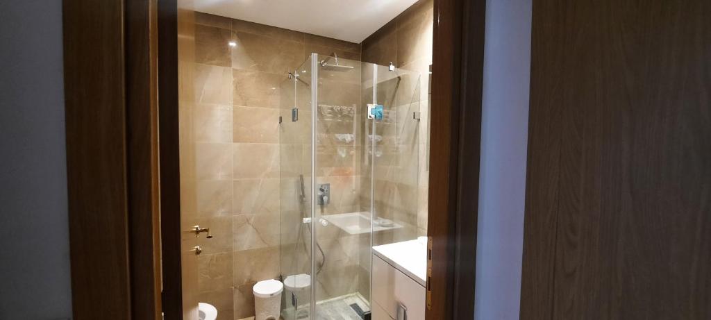 Vip appartement tunis photo 4