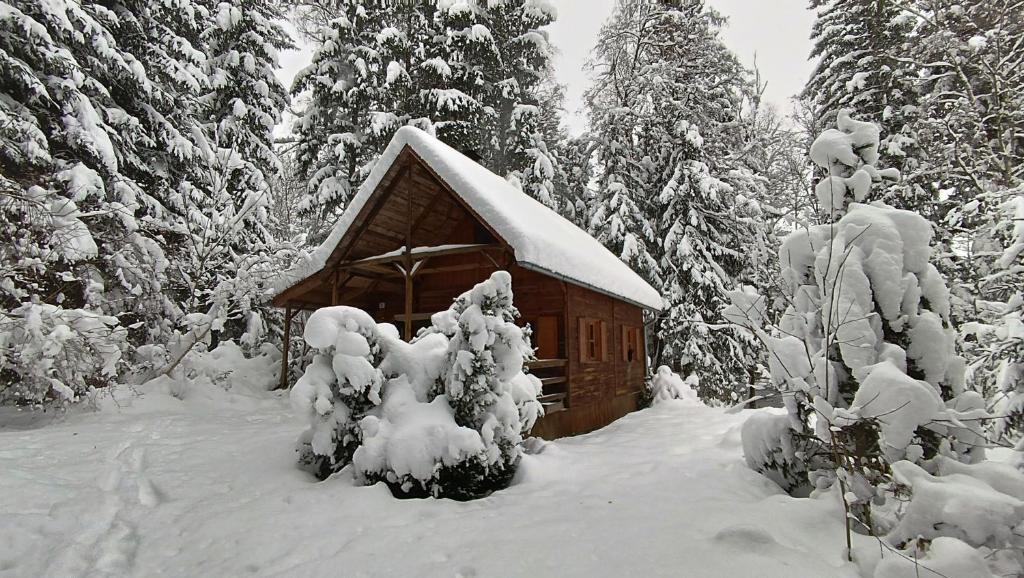 Chata Sport Vysočina photo 1