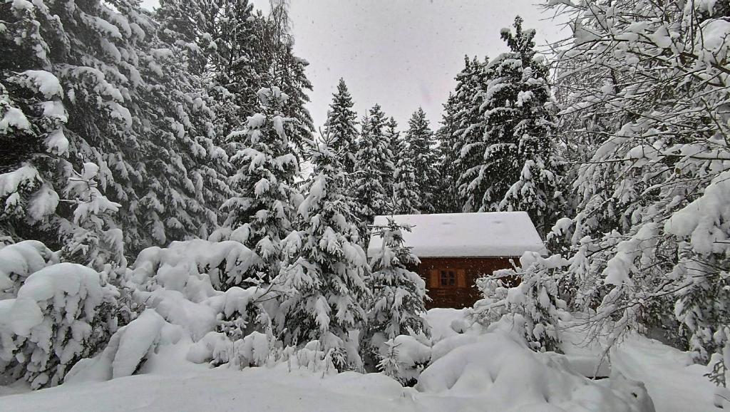Chata Sport Vysočina photo 2