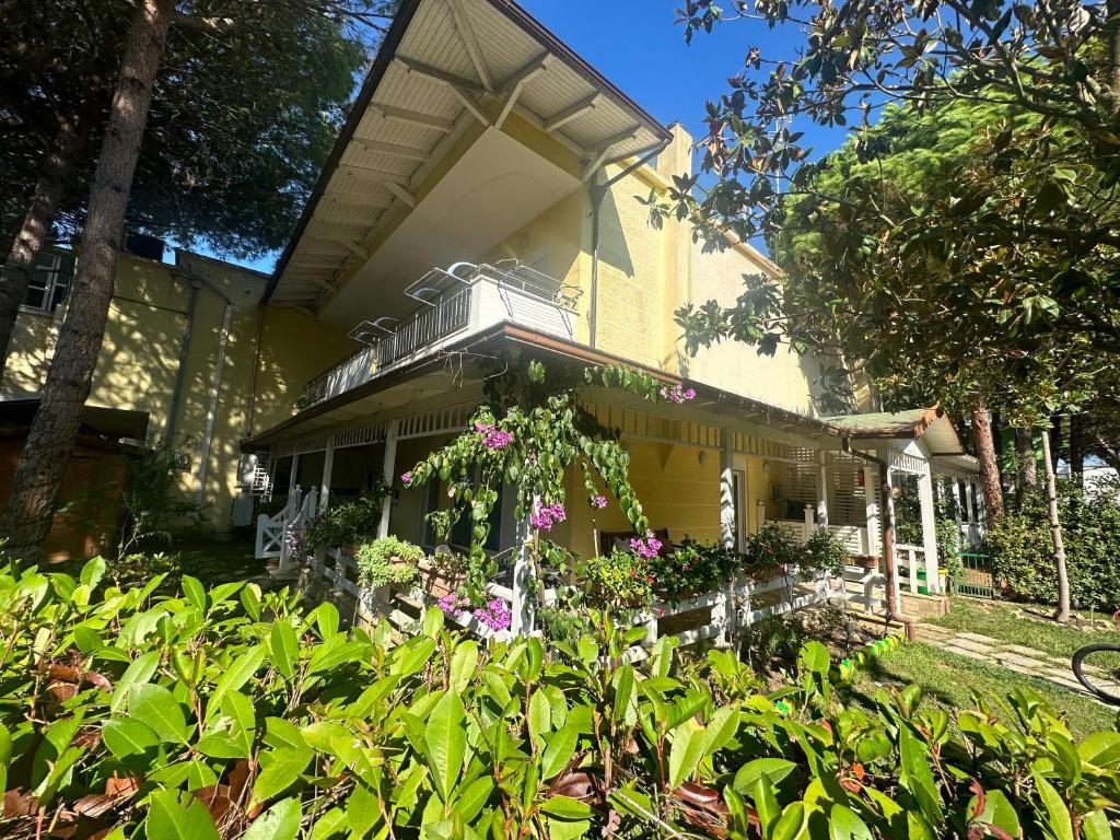 Villa Shera photo 2
