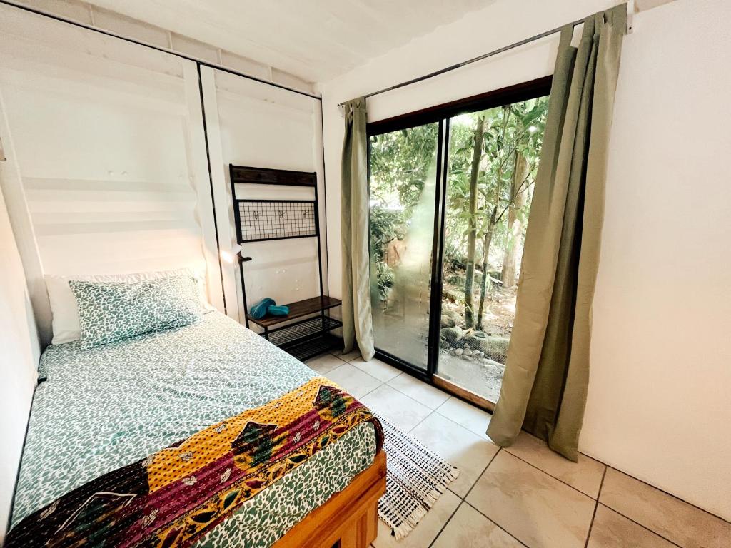 Osa de Rio photo 1