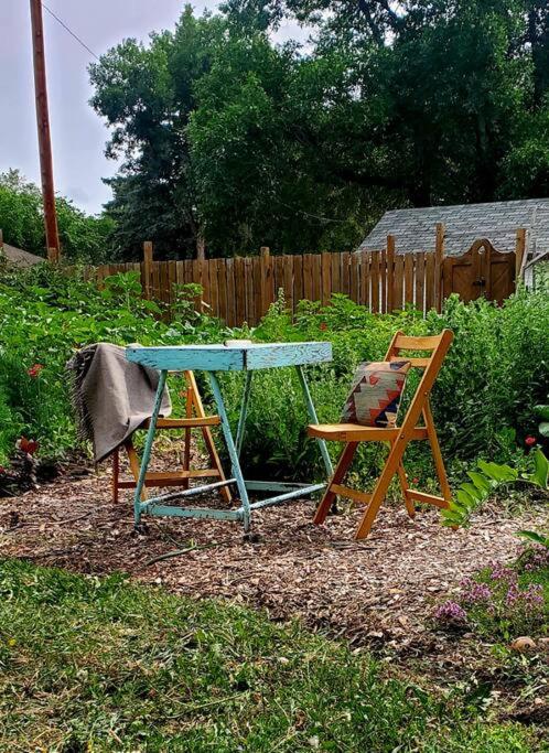 Blue Dog Accommodations photo 1