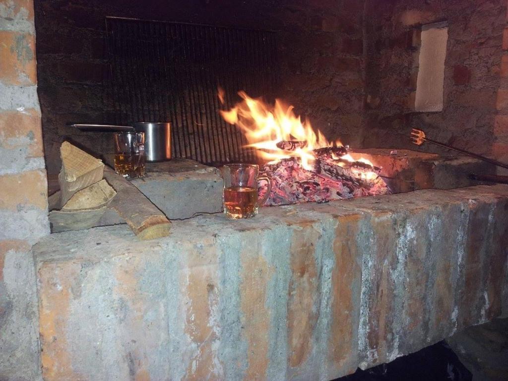 Vila Dukat Stara Planina photo 4