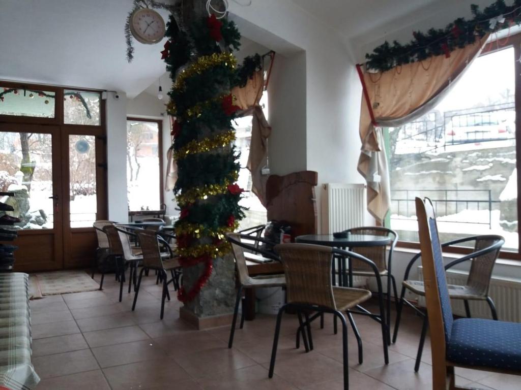 Vila Dukat Stara Planina photo 1