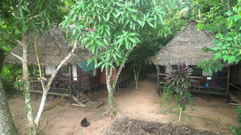 Tambopata River photo 1