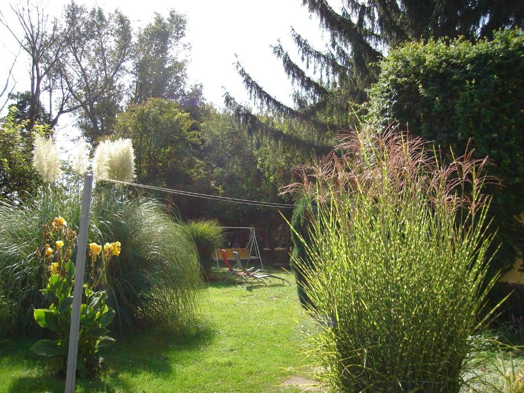 Park Nyaralóház photo 4