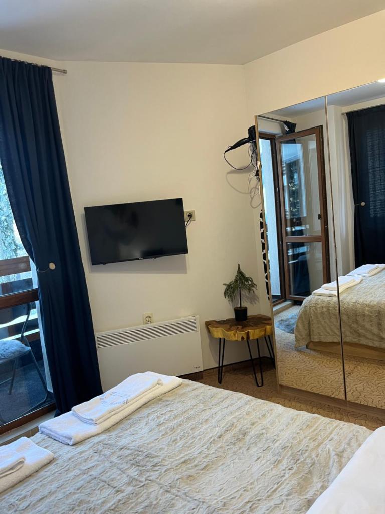 Elizi winter apartments Pamporovo photo 3