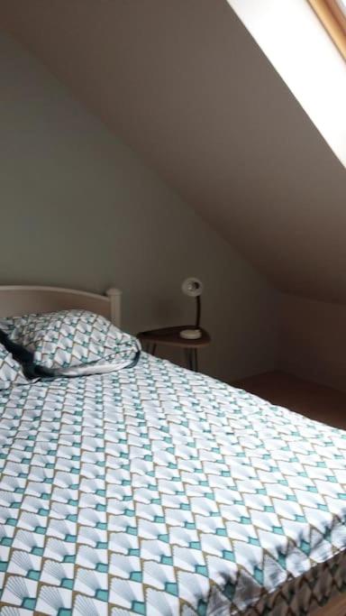 Appartement duplex photo 3