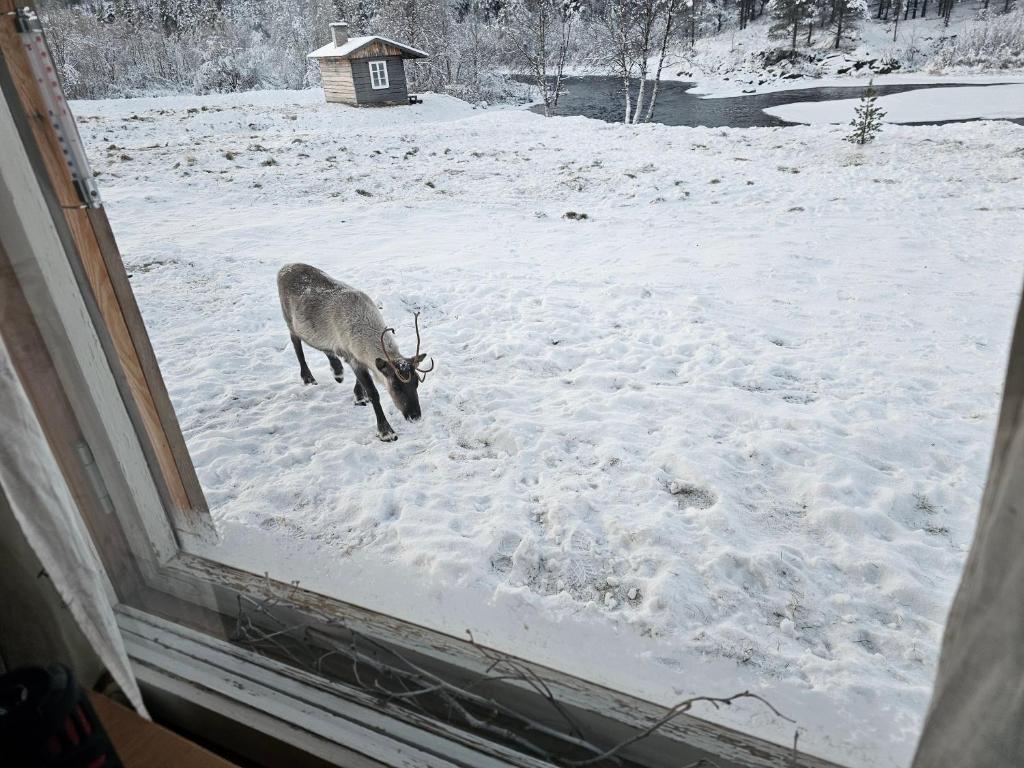 Leppälän vanhatupa rantasaunalla photo 4