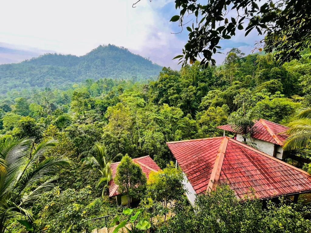 White Villa Kitulgala photo 3
