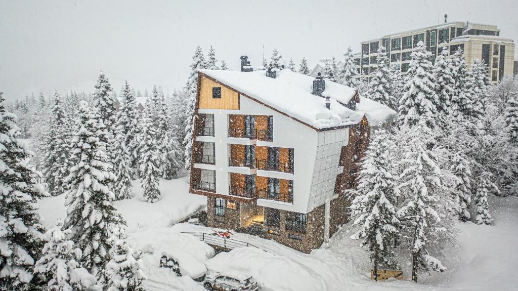 Forest Villa