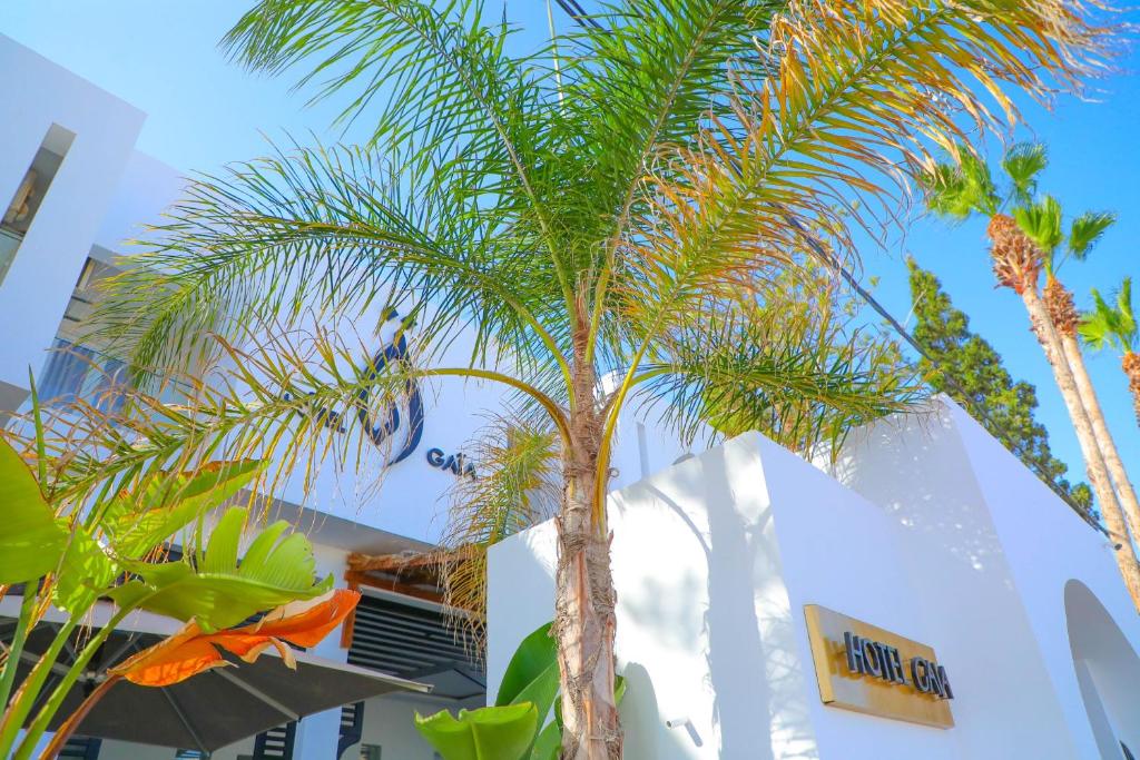 HOTEL GAIA NABEUL photo 1