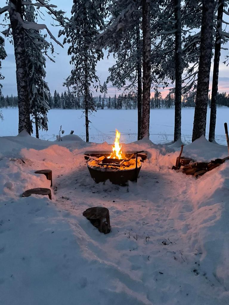 Pine Tree Cabin photo 3