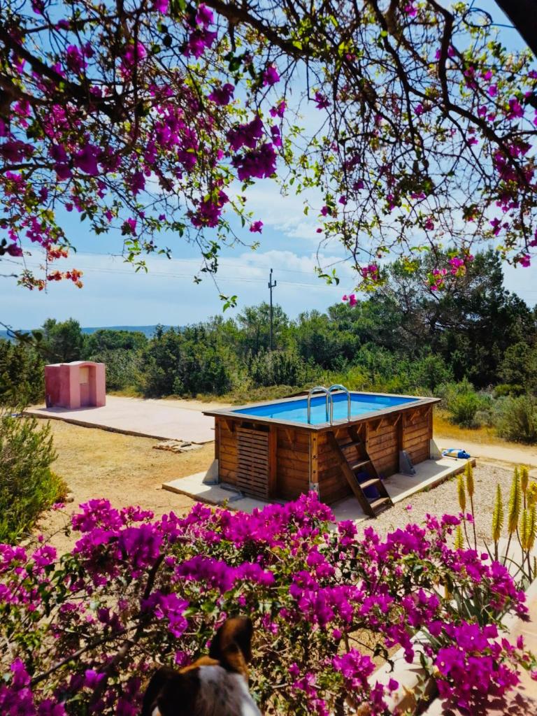 Villa Turquoise Formentera photo 3